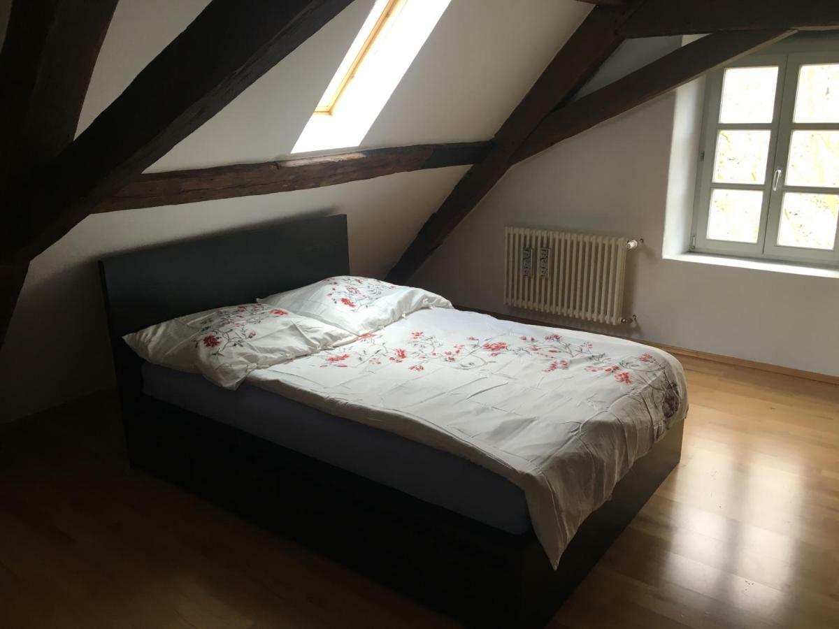 Kaiserslautern Apartment Экстерьер фото