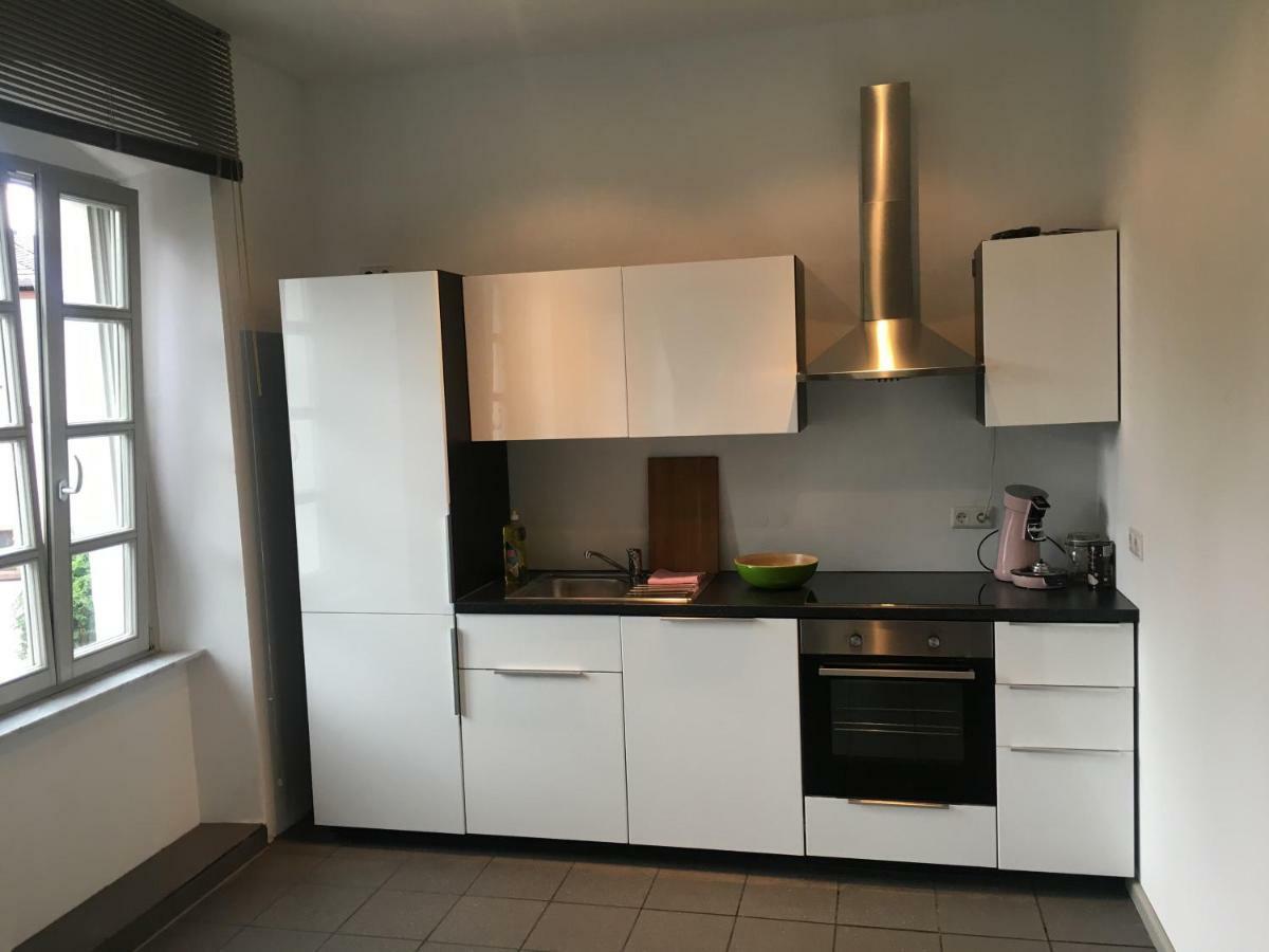 Kaiserslautern Apartment Экстерьер фото