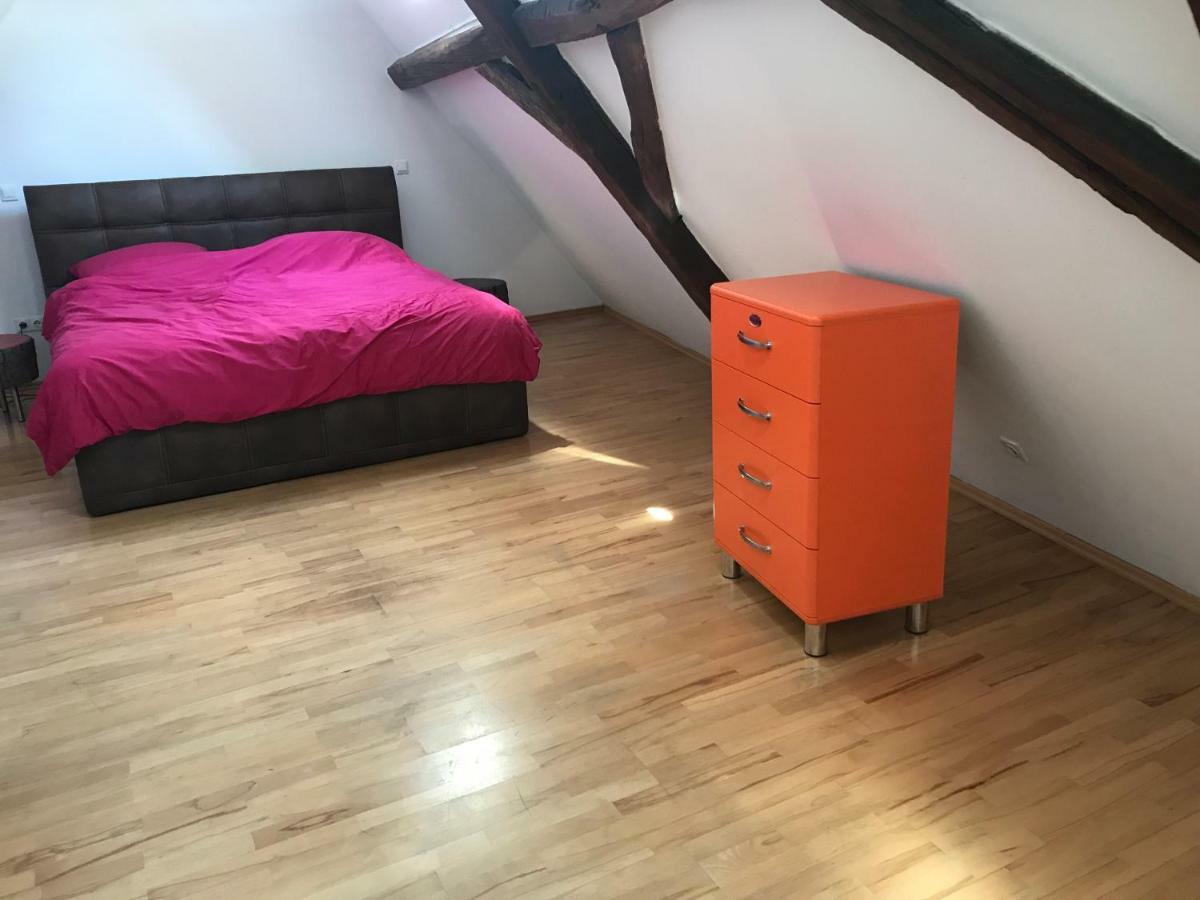 Kaiserslautern Apartment Экстерьер фото